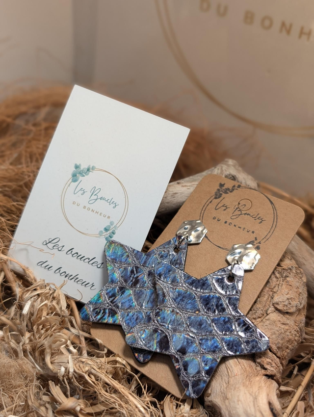 Boucles d'oreilles Étoile s163