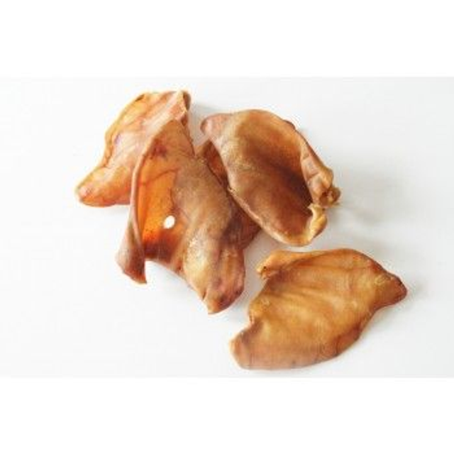CT pigs ears