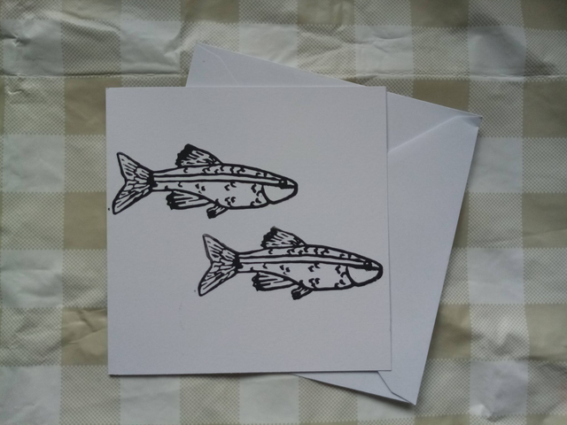 Fish Cards