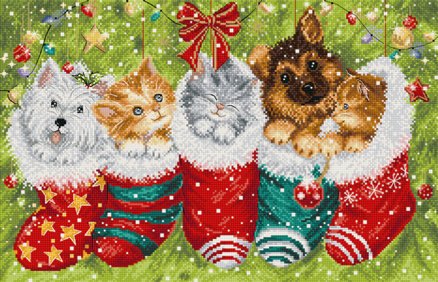 Dogs and Cats in Stockings by Letistitch 