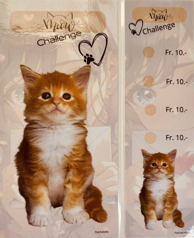 Miaou 2