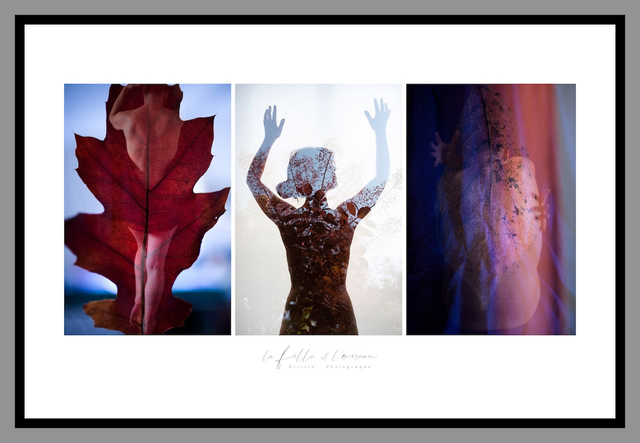 Triptyque Automne * 4