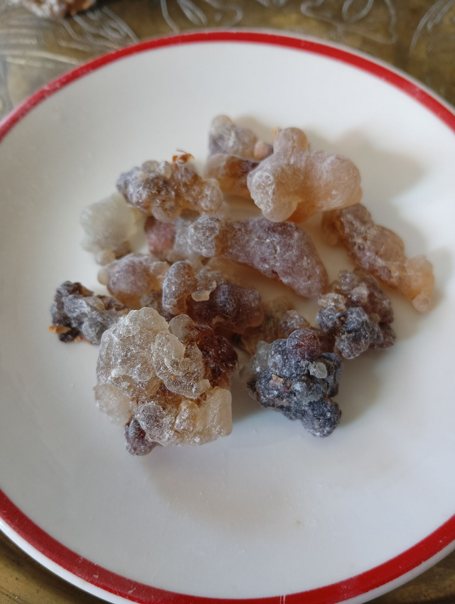 Larmes d'Oliban - Black Hojari de Salalah - Sultanat d'Oman