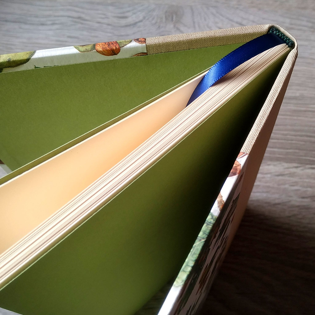 Livre vierge "Noisettes"