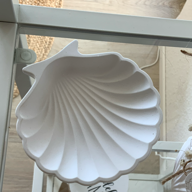 Muschelschale