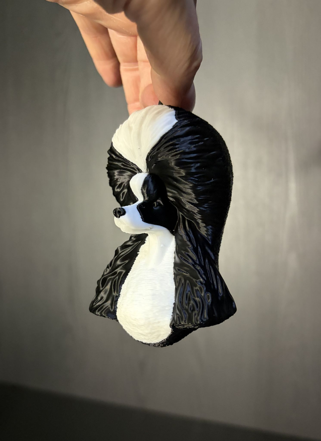 Poodle Black and White Parti