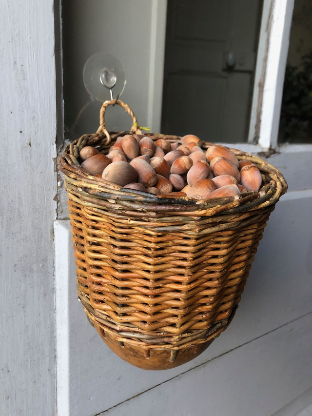 Contenant osier/gourde