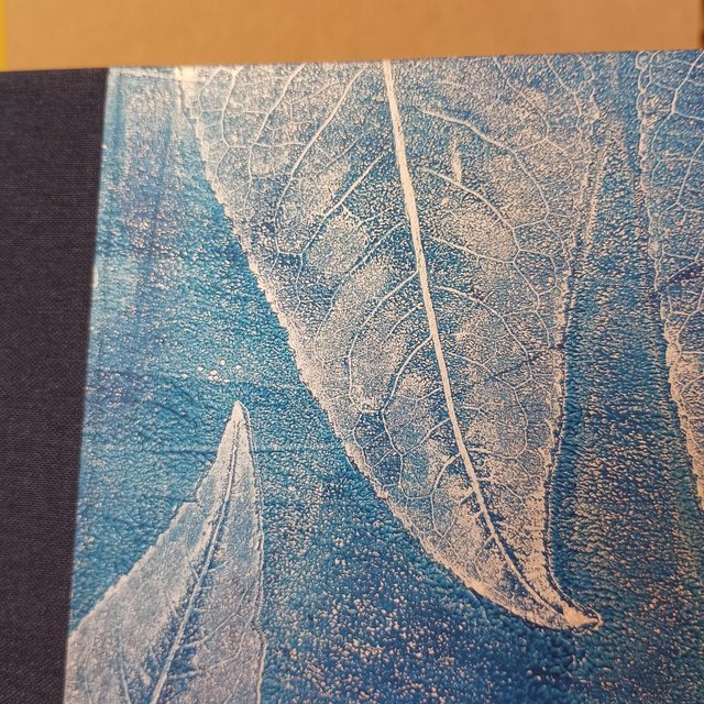 Album photo /Sketchbook