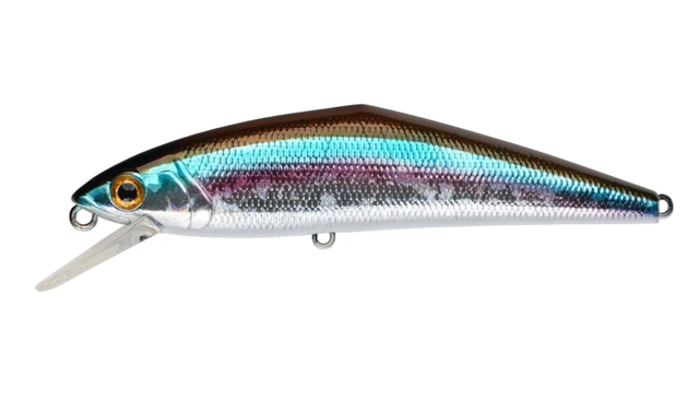 D-Contact 72 Color V5