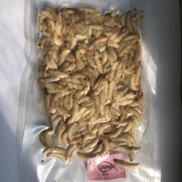 Camole del Miele Congelate