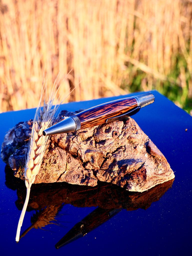 Sirius bille Palmier noir