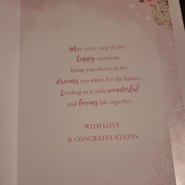 Wedding Day Card Bride and Groom 23cm x 15.25cm