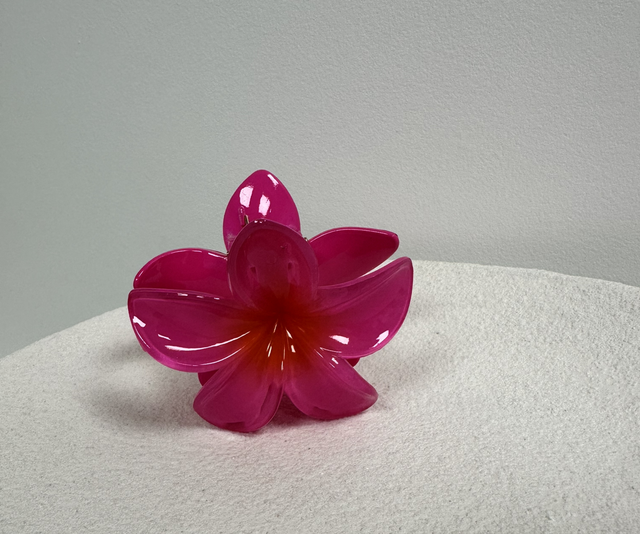 PINCE À CHEVEUX FLOR