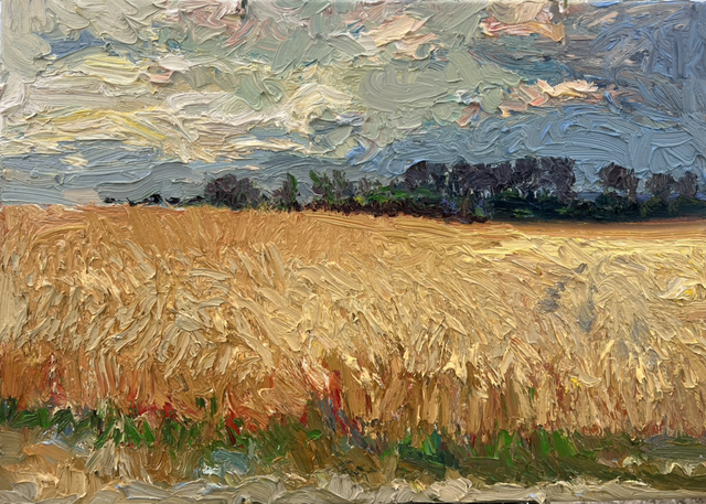 „Das Lied der Sommerfelder“ – Öl auf Leinwand, 50 × 70 cm | 2025