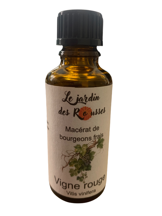 VIGNE ROUGE- Macérât glycériné de bourgeons Flacon de 30 ml