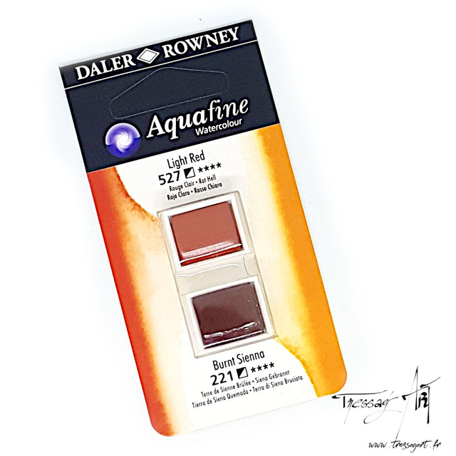 DALER ROWNEY - AQUARELLE DEMI-GODETS par 2 - MARRON 527 &amp; 221 - CA002527
