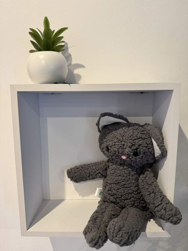 Luidgy chat moumoute gris