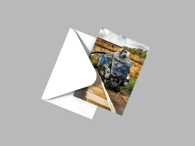 Sir Nigel, Great Ayton