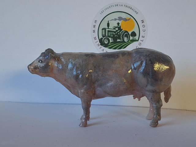 Miniature vache bleu blanc belge BBB4