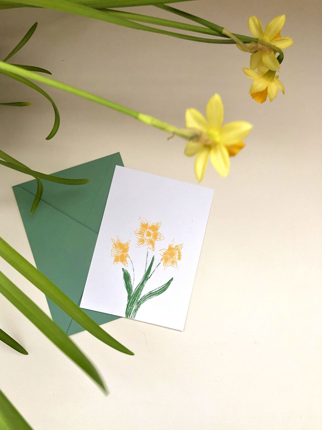 Carte postale, les jonquilles