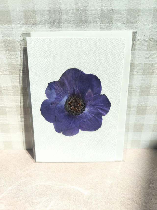 Carte anémone bleue avec fleurs pressées