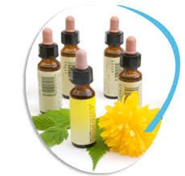 Bilan énergétique + Fleurs de Bach