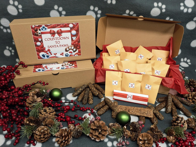 Countdown to Santa Paws 