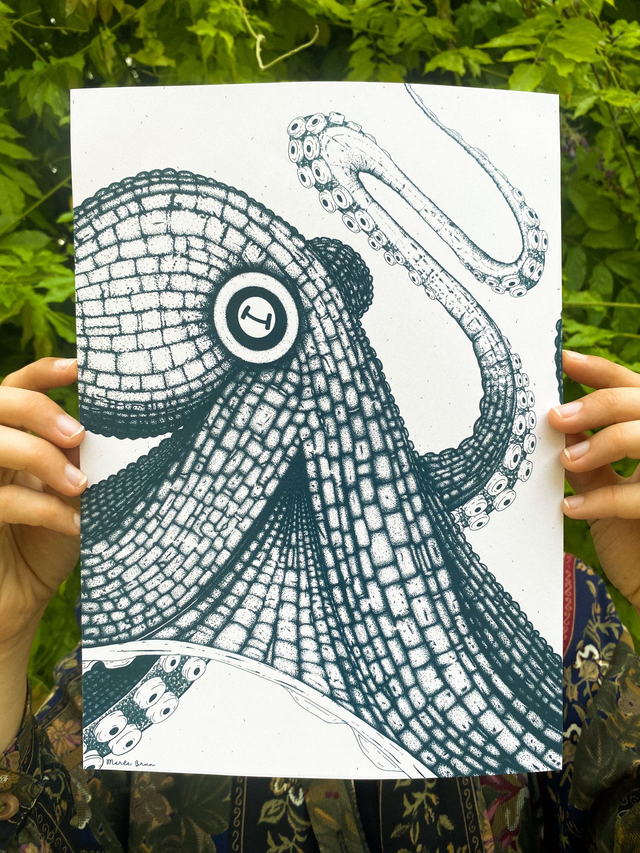 A4 Illustration l KRAKEN 