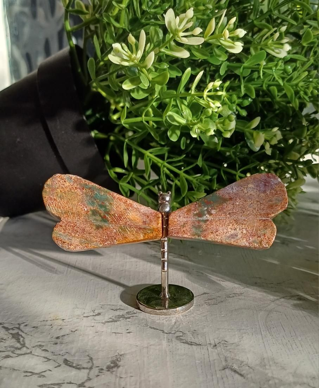 Ocean Jasper Dragonfly