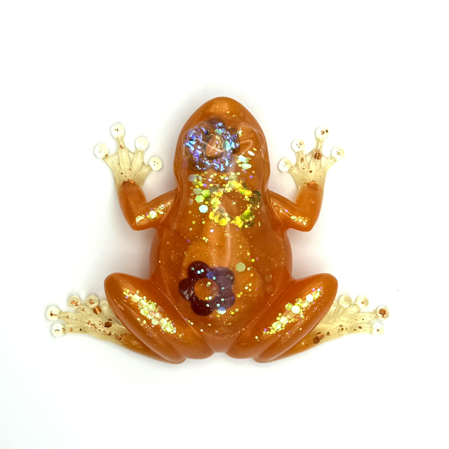 Grenouille Pampilles orangée 