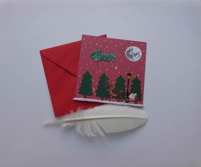 Promenade avec un renne à Noël