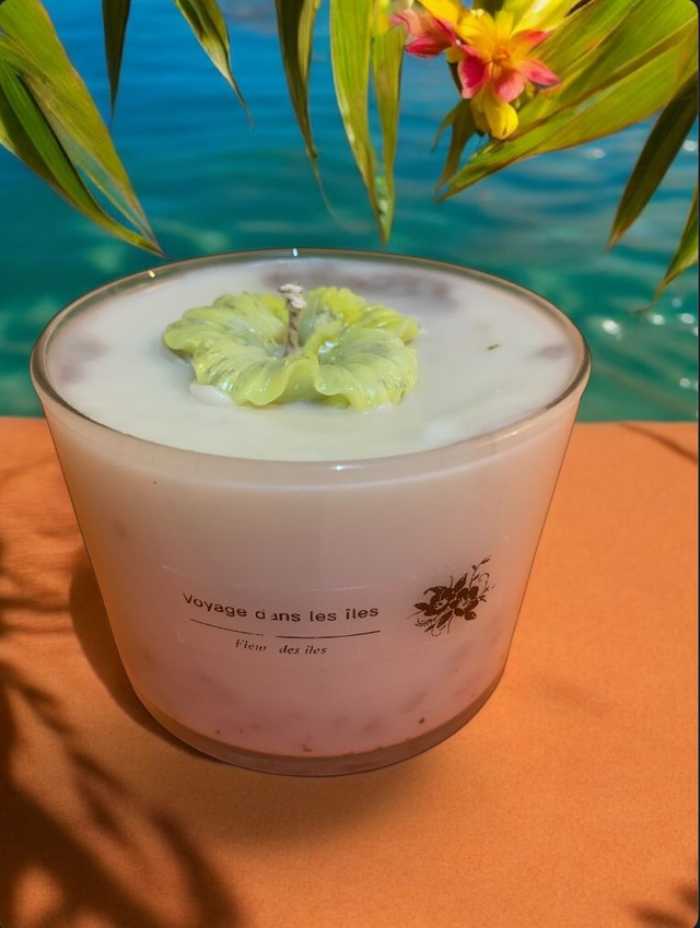 Voyage dans les îles