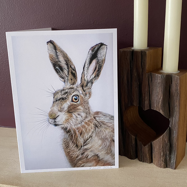 Large Card Collection 