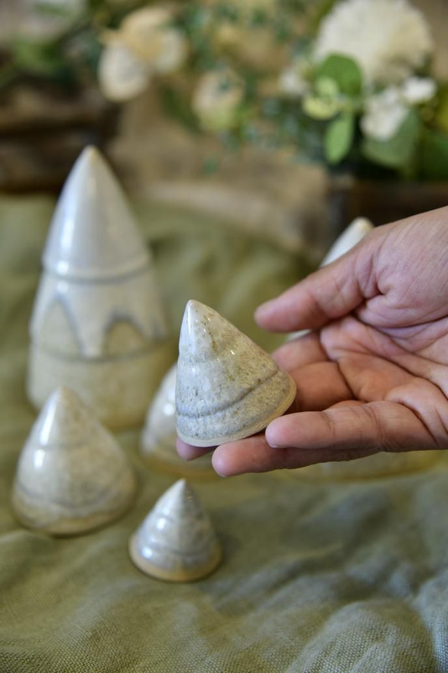 Forêt Sapin de Noël