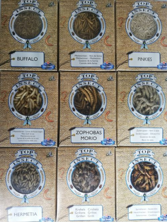 Top insect frozen box 1 litre