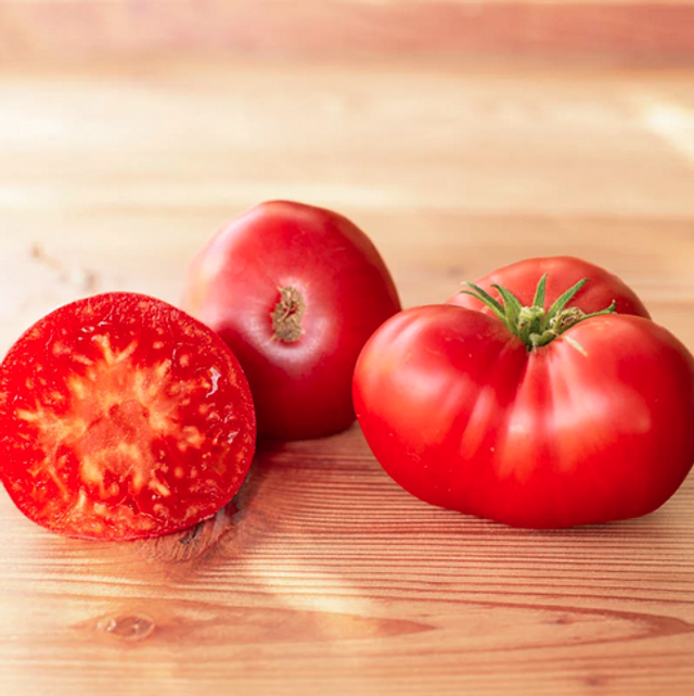 Tomate charnue rouge Brandywine Joyce