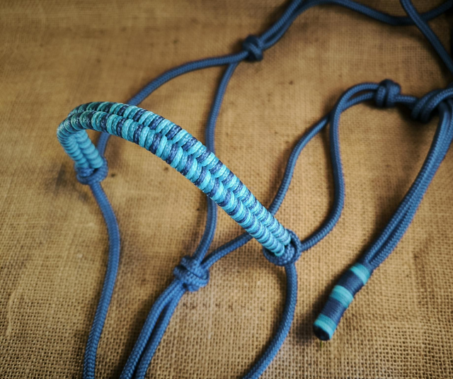 💙 Licol "Bleu Océan"    taille COB