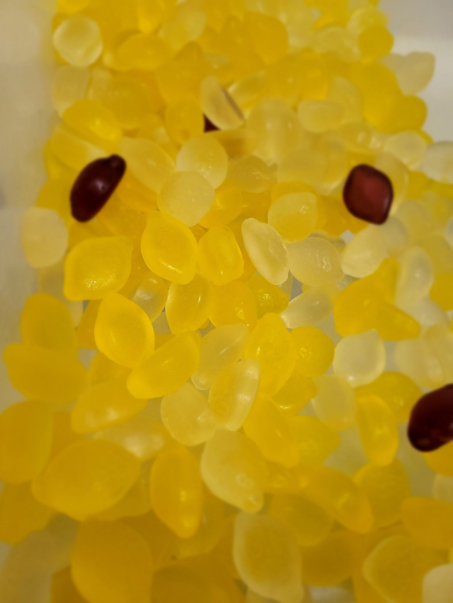 Assortiment citrons gel sans sucre (100g)