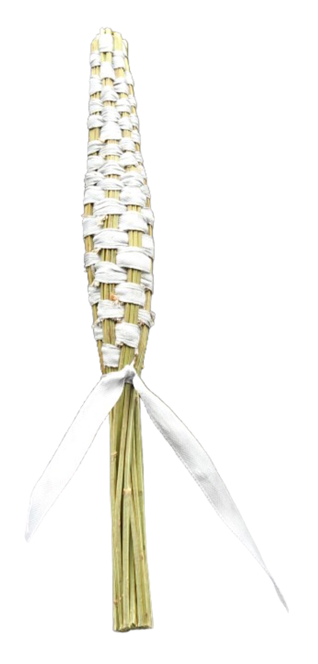 Navettes de Lavande Bio