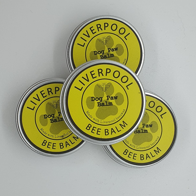 Dog Paw Balm
