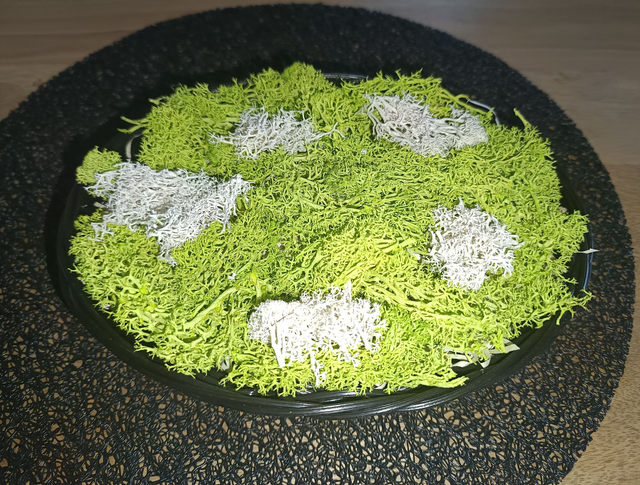 Petit panier avec décoration sans article