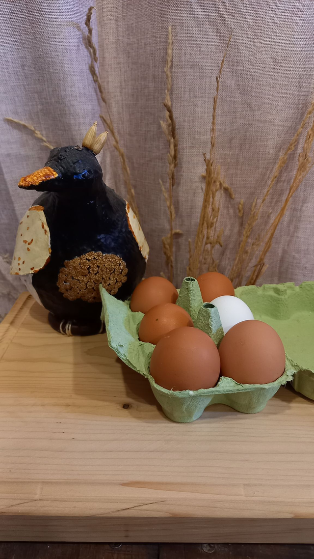 Oeufs de la ferme - boîte de 6