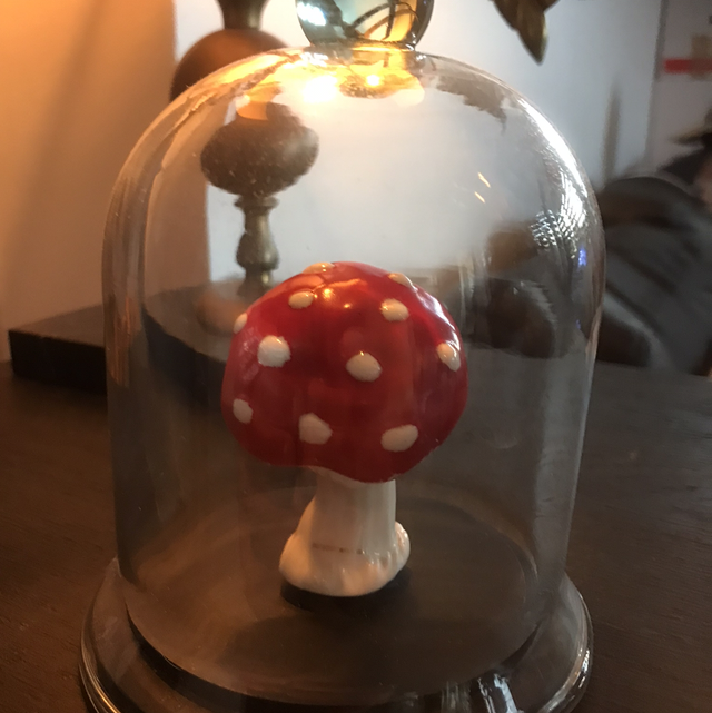 Globe amanite en porcelaine 