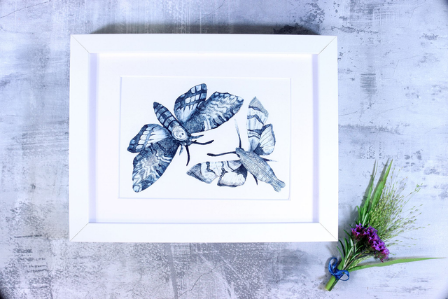 Drypoint Print: Hummingbird Hawkmoth &amp; Death's Head Hawkmoth