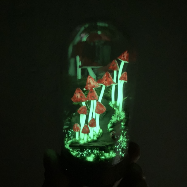 Champignons phosphorescent rouge sur écorce