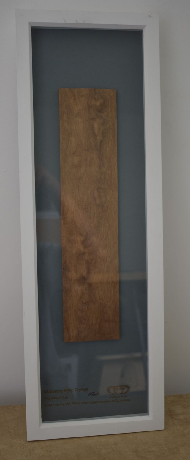 Malvern Hills Relief Map