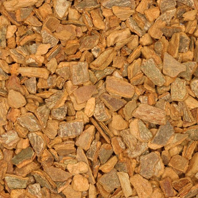 Kaneel (cinnamon) (Cinnamomum cassia) - BIO