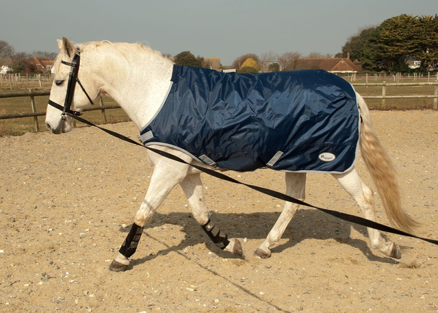 Rhinegold Walker/Lunge Rug