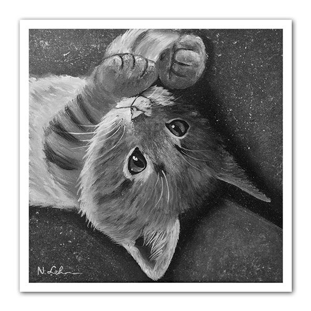 Verspieltes Kätzchen - FineArt Print