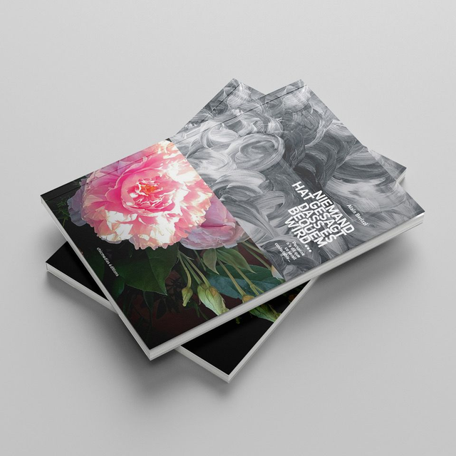 Livre - Niemand hat gesagt dass es bequem wird... - Personne n'a dit que ça serait confortable...